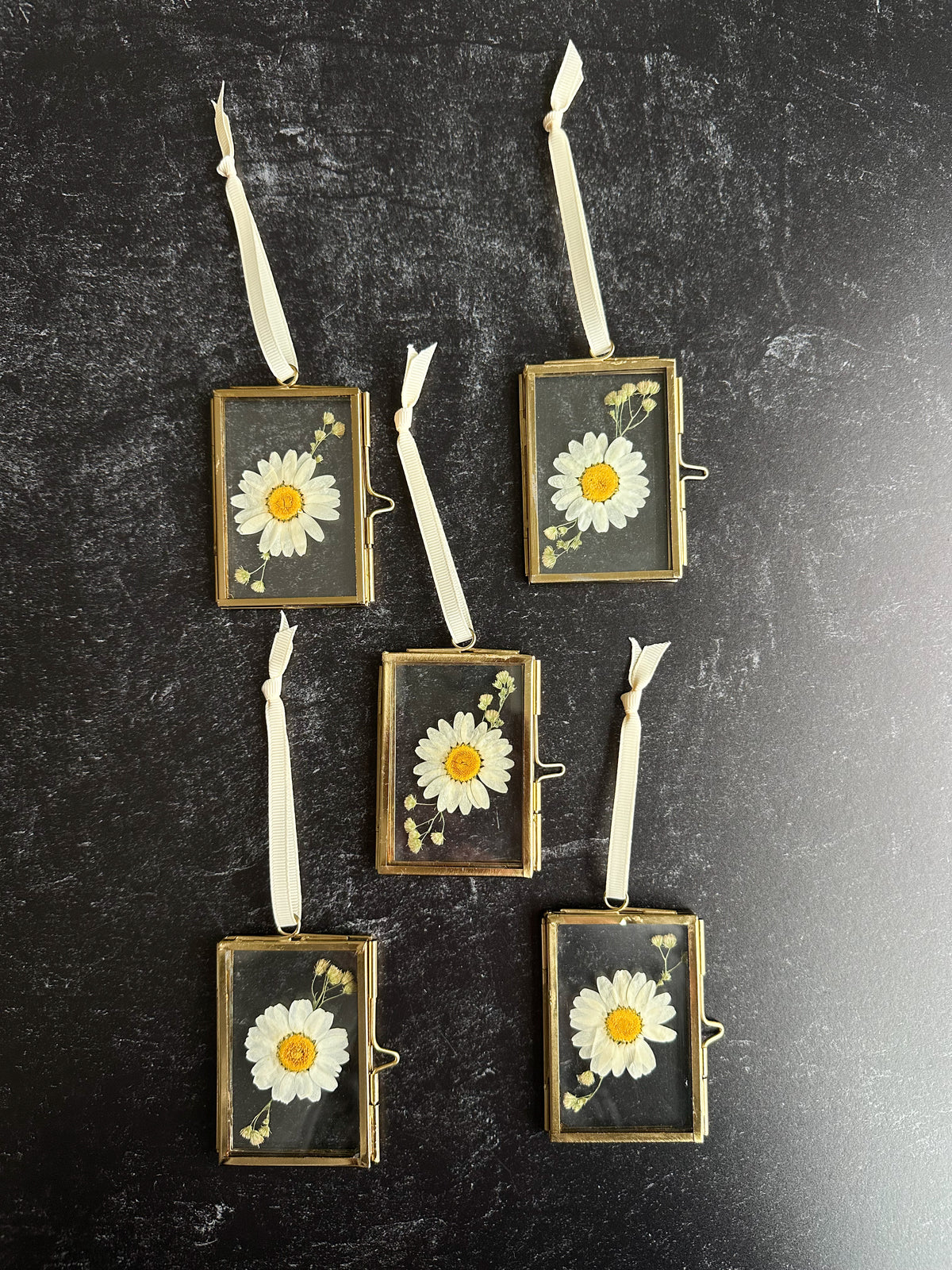 Pressed Flower Glass Ornament in Daisy