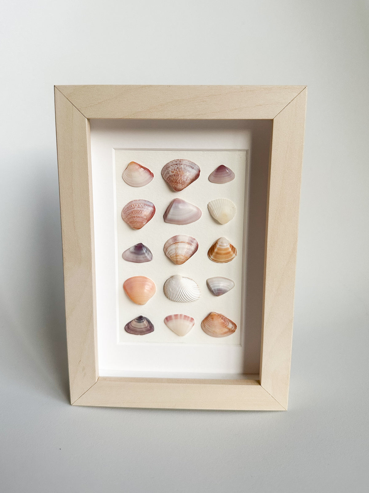 Alternating Pastel Grid Seashell Frame in