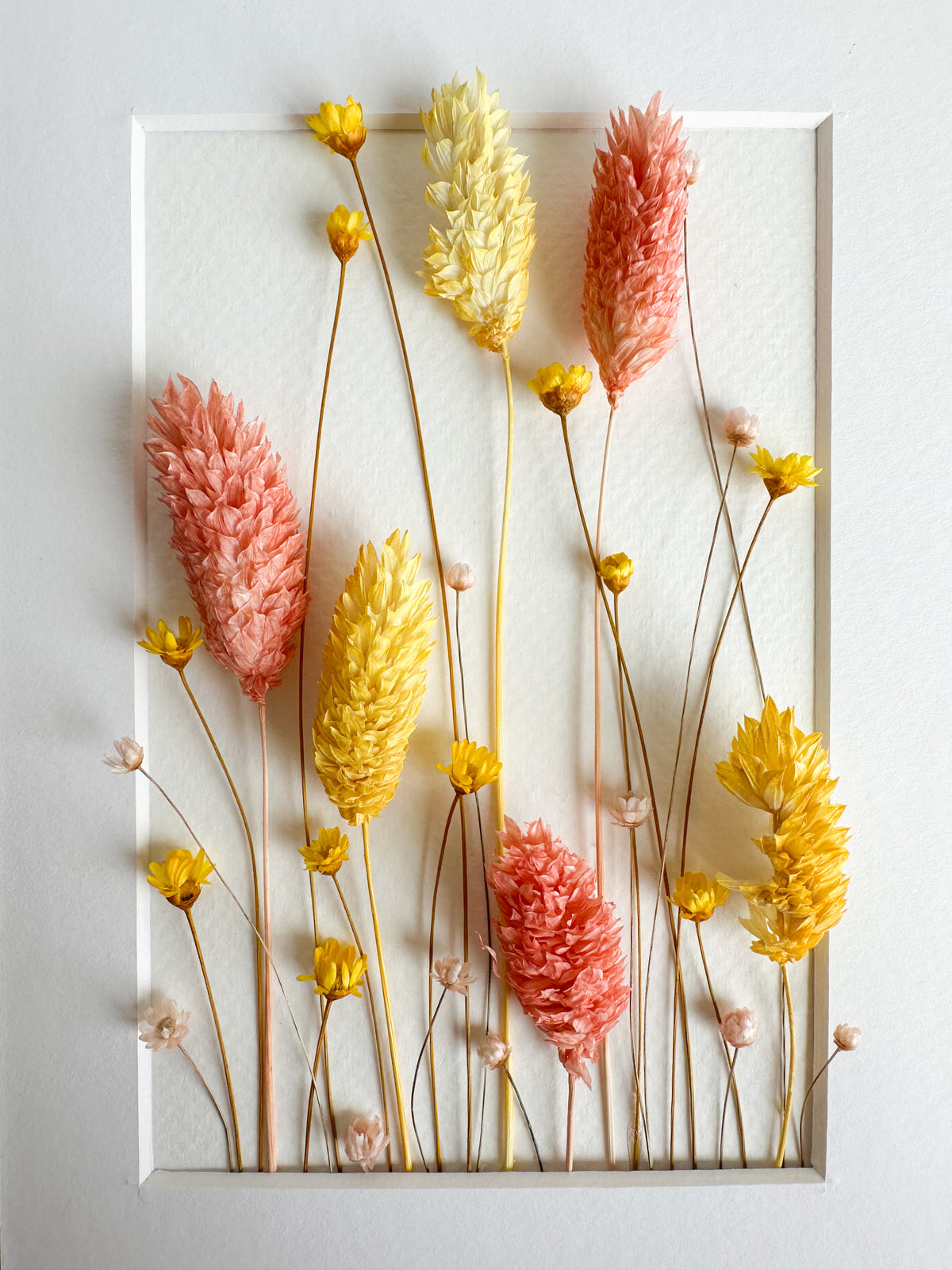 Coral Yellow Flower Frame