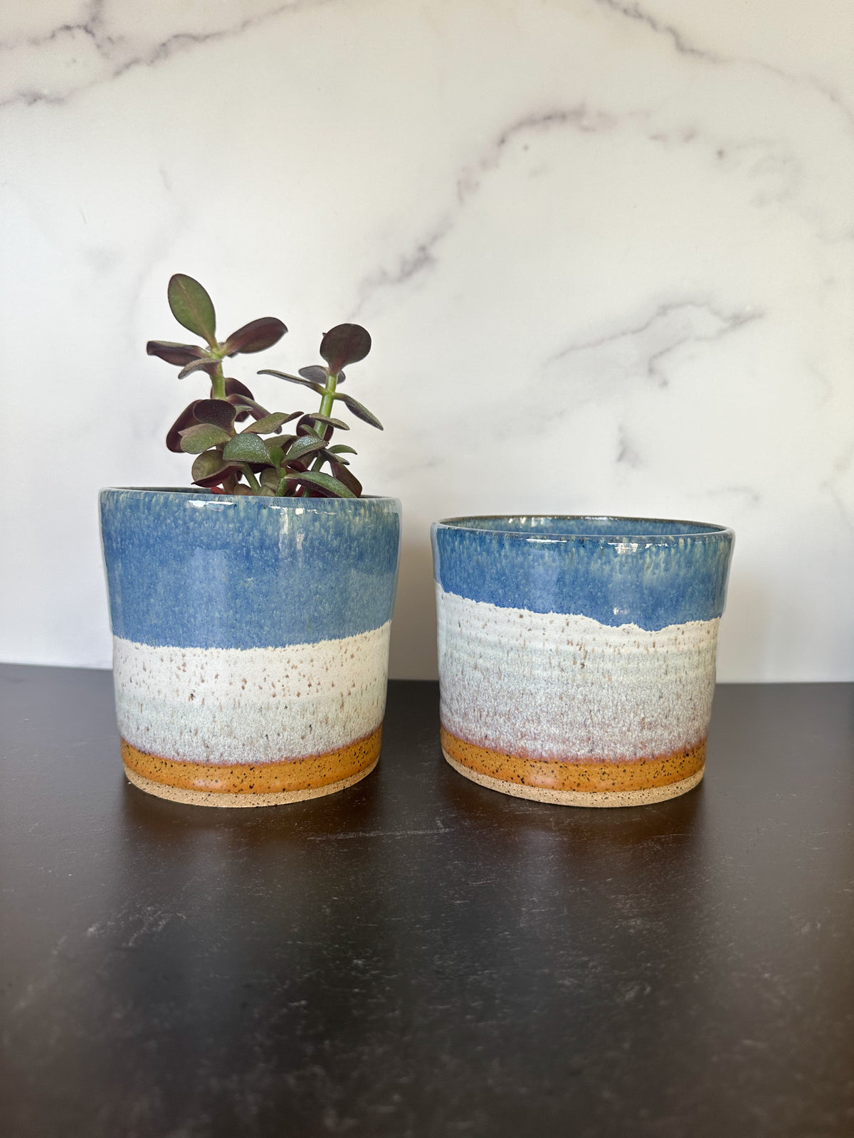 Ceramic Planters in Coastline