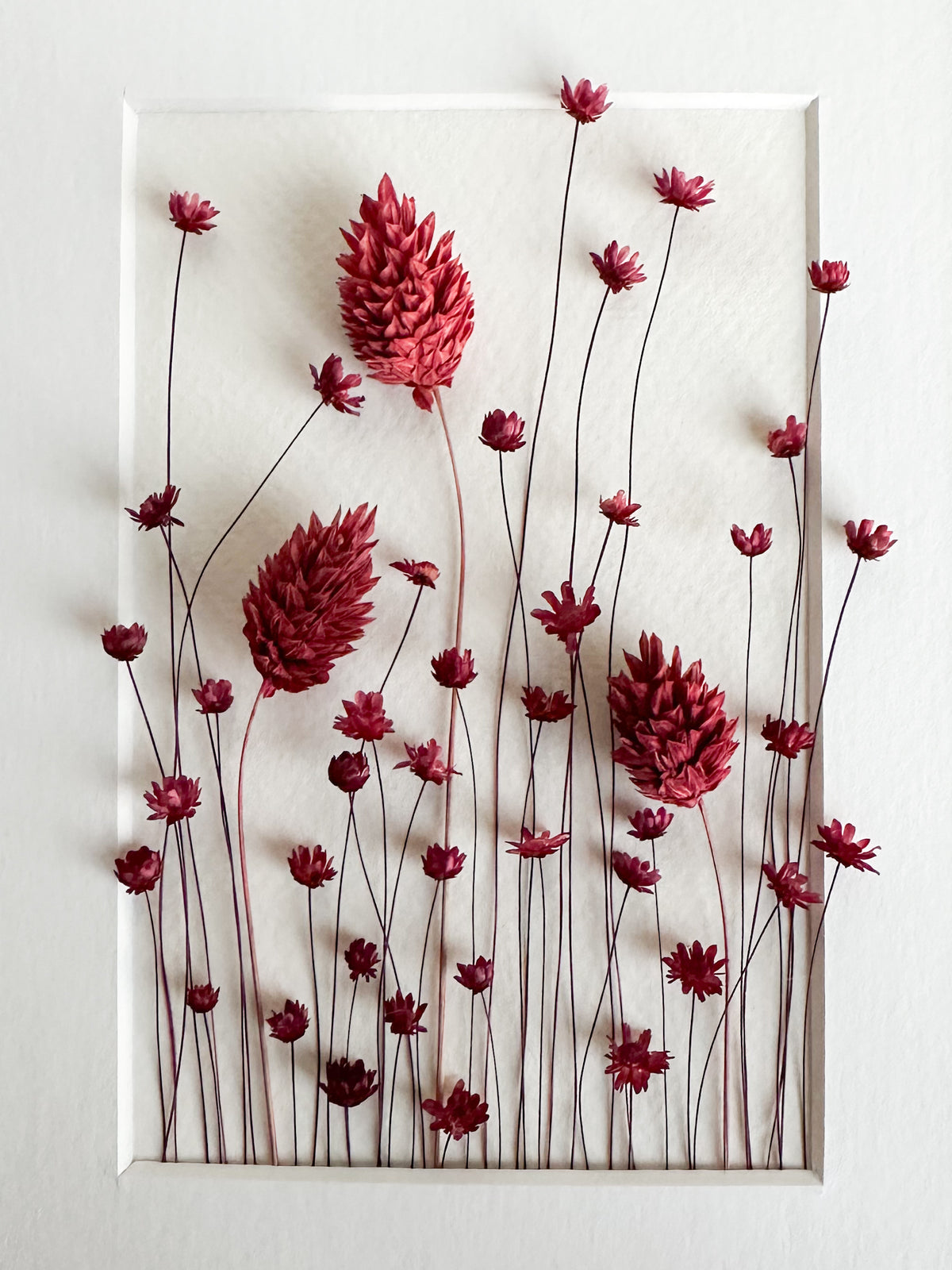 Cranberry Dried Flower Frame
