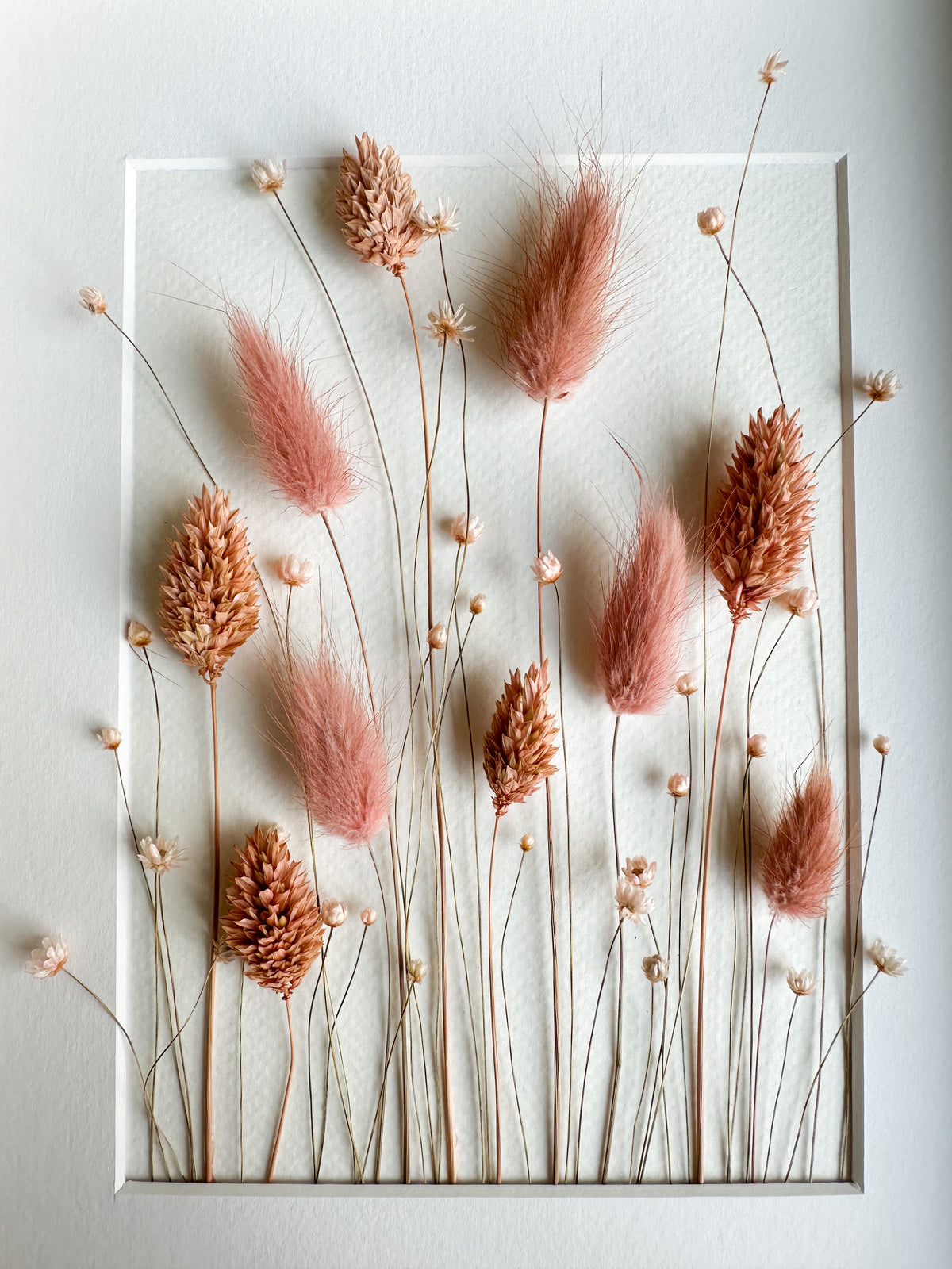 Rose Pink Dried Flower Frame