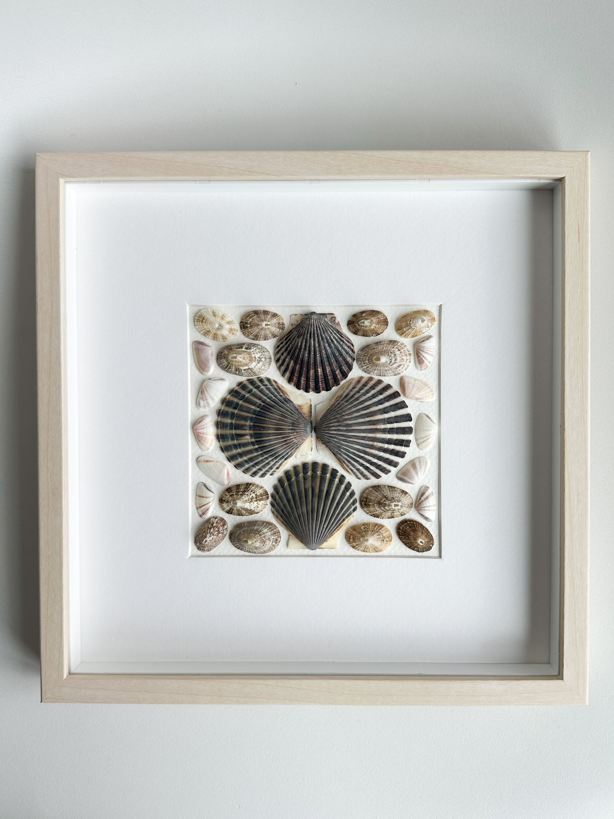 Black Cape Cod Shell and Limpet Ring Frame
