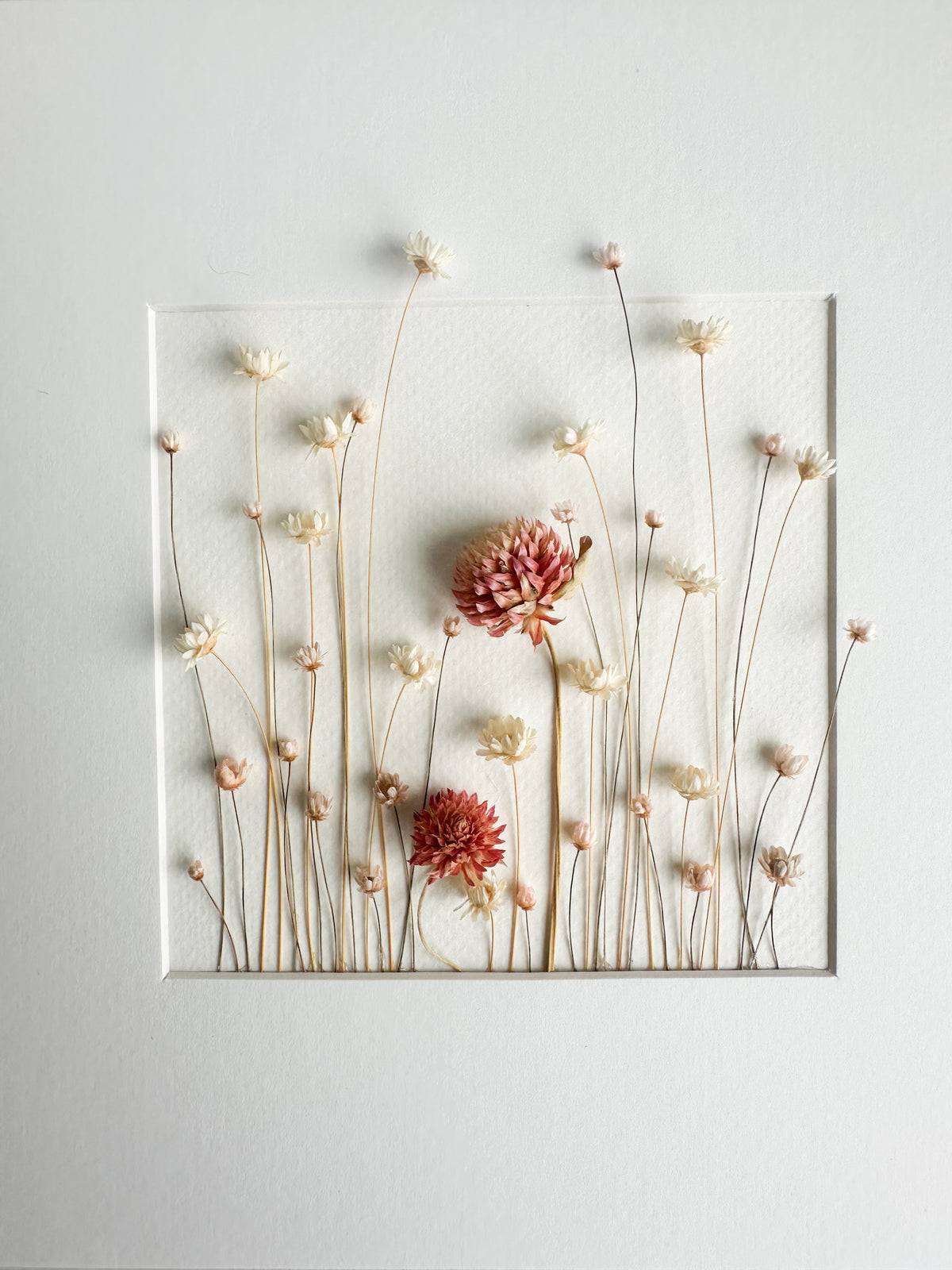 Peachy Pink and White Dried Flower Frame