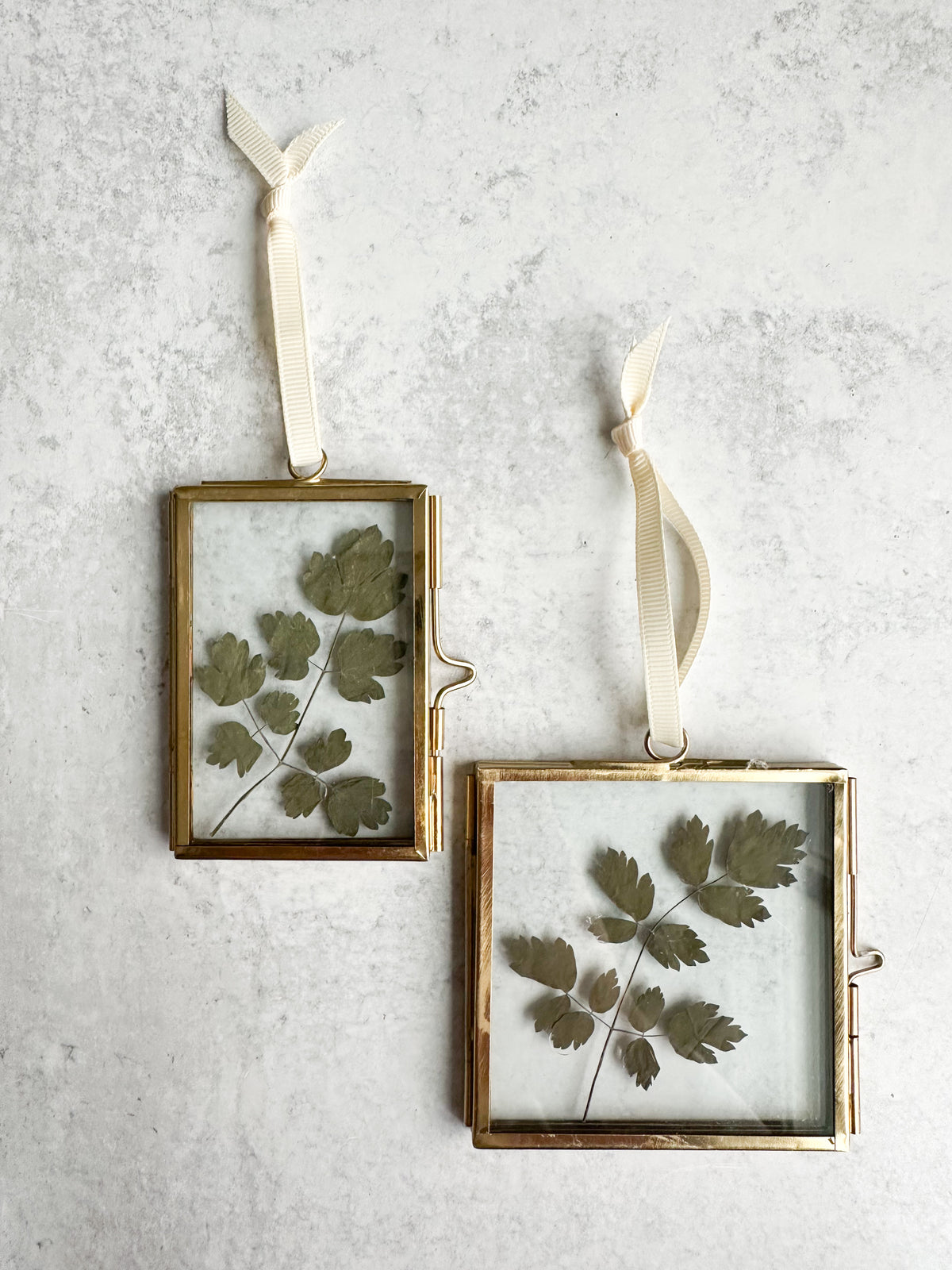 Pressed Flower Glass Ornament in Parsley