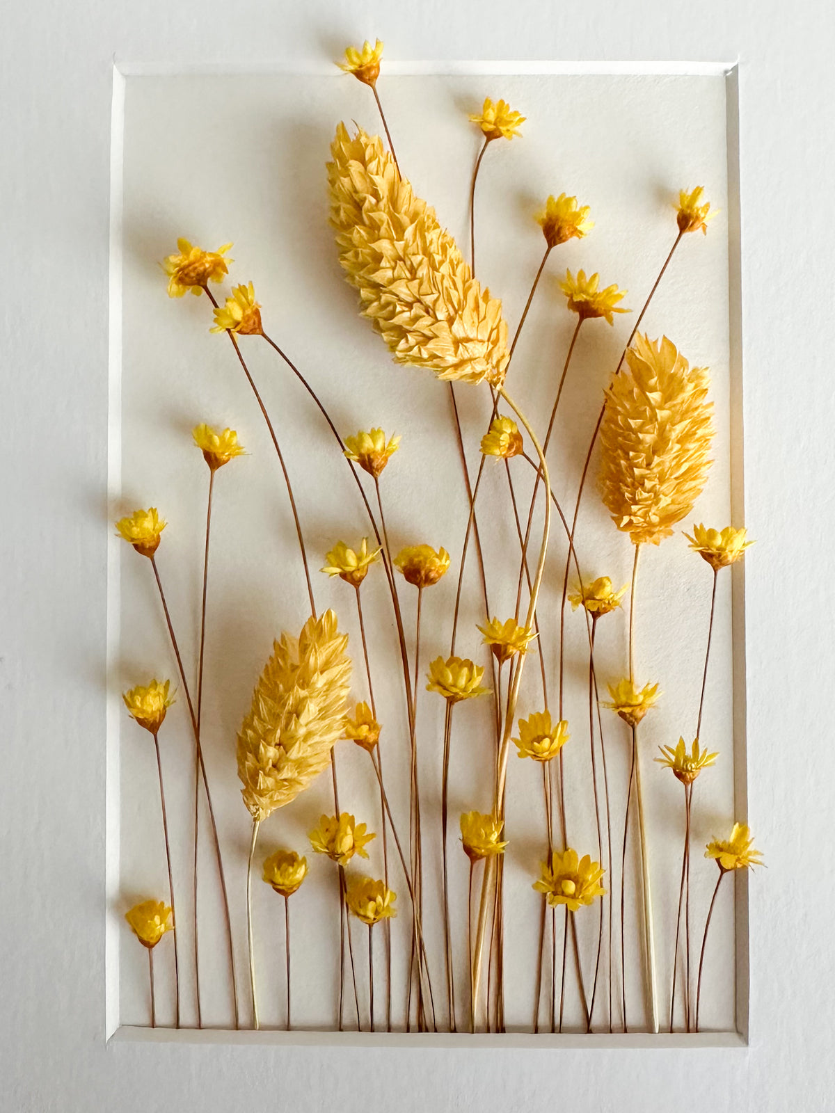 Yellow Dried Flower Frame