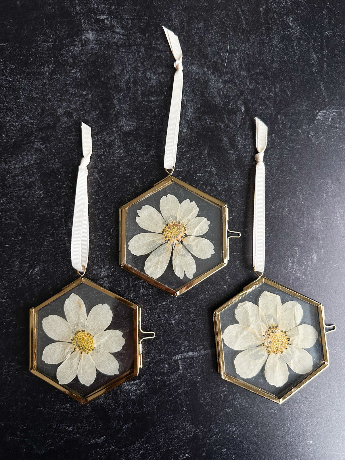 Pressed Flower Ornament in Cosmo Hexagon
