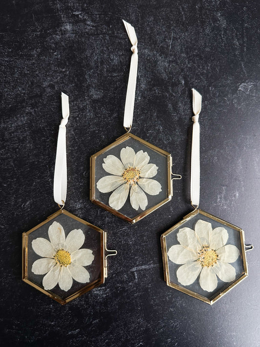 Pressed Flower Ornament in Cosmo Hexagon