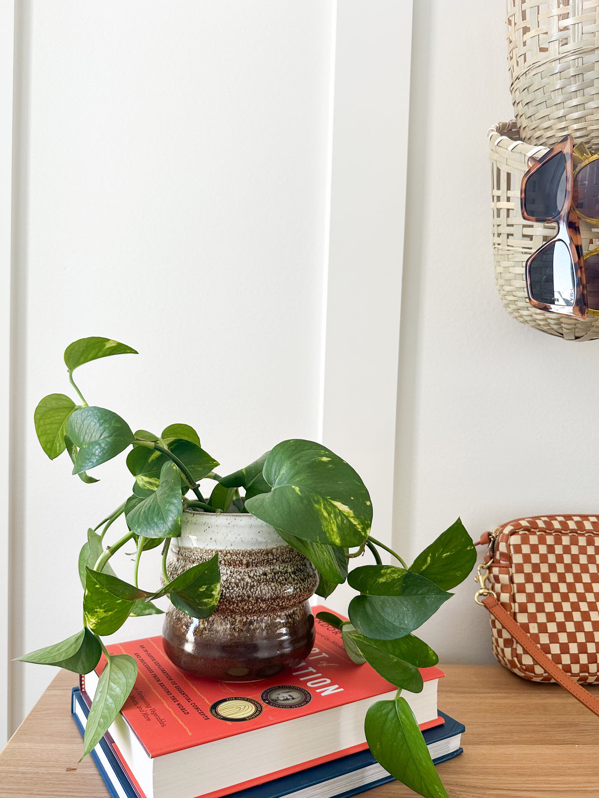 Ceramic Bubble Planter in Walnut Dip