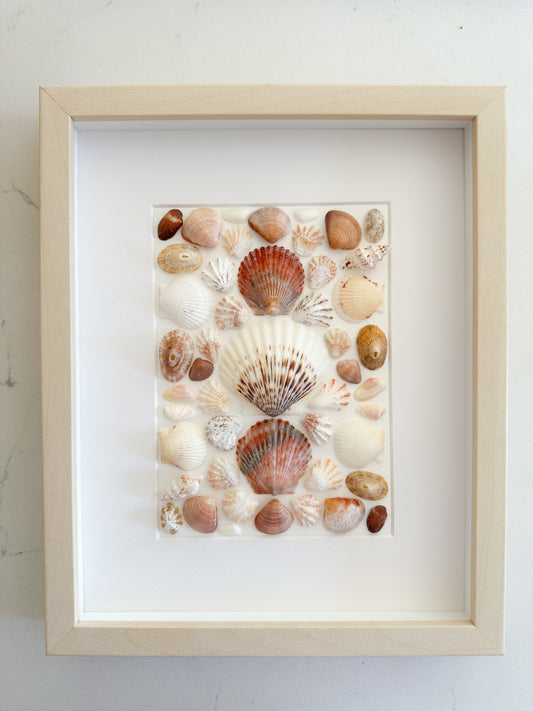 Calico Shells, Kitten Paws and Limpet Rings in Orange/Neutrals