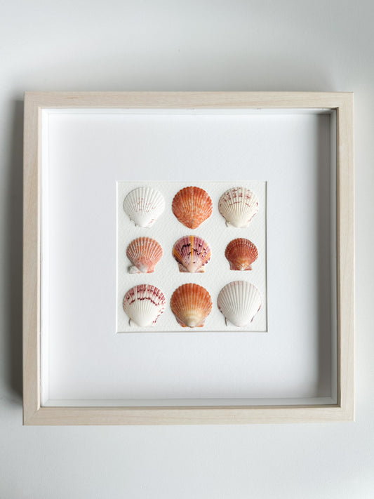 Orange/White Calico Clam Shell Frame