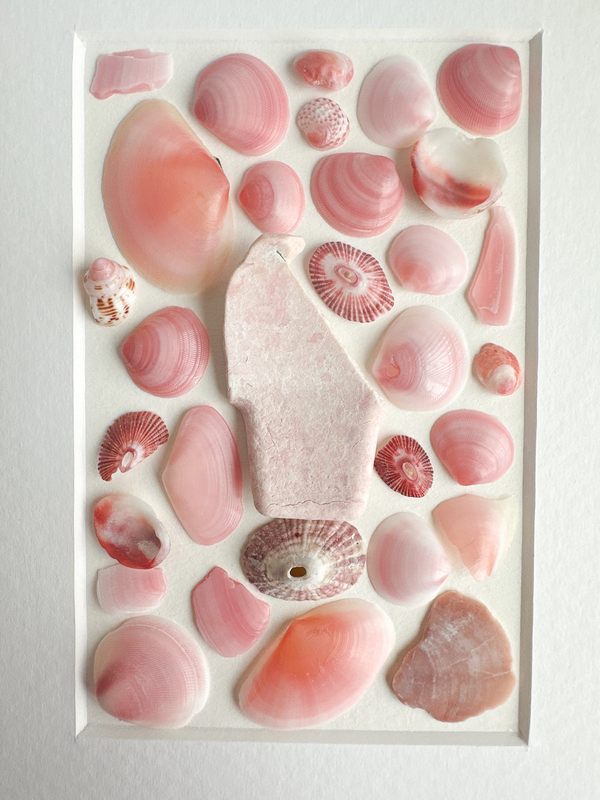 Puerto Rico Pink Seashell Frame