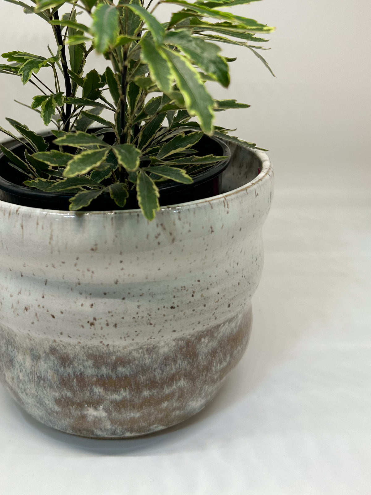 Ceramic Bubble Planter in Opal Dip