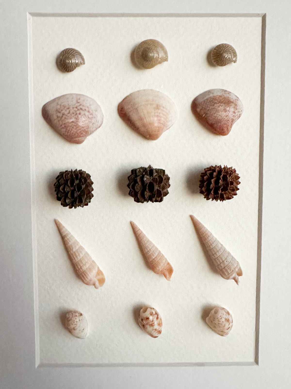 Seashell Grid Frame in three of a kind