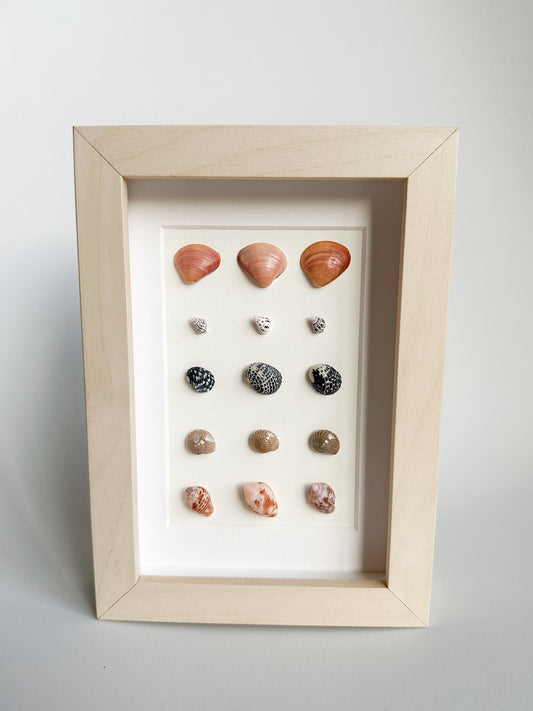 Seashell Grid Frame