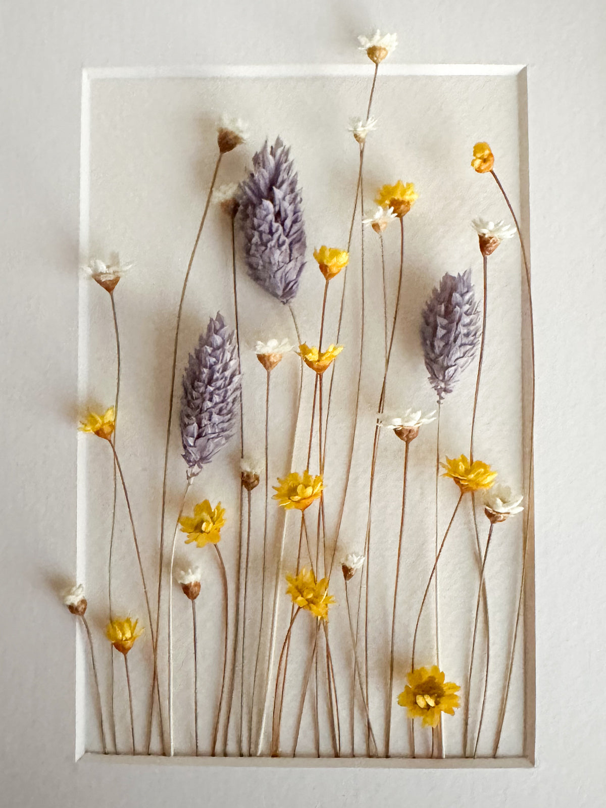 Blue, Yellow, Ivory Dried Flower Frame
