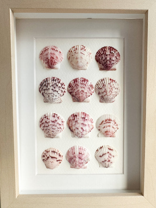Pink Calico Clam Shell Frame