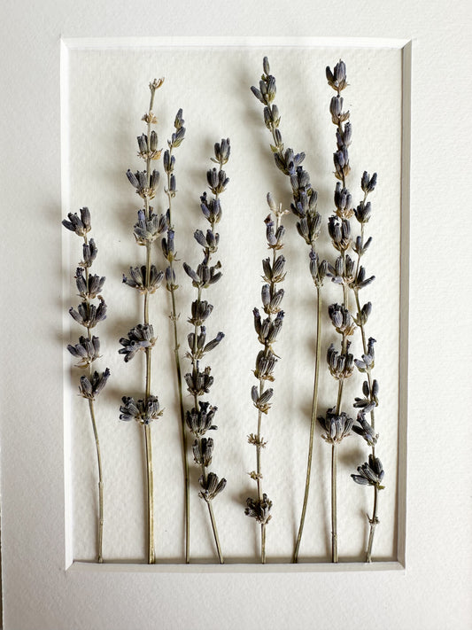 Lavender Dried Flower Frame