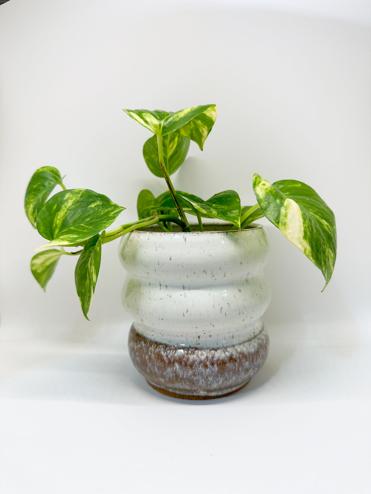 Ceramic Bubble Planter in Opal Dip