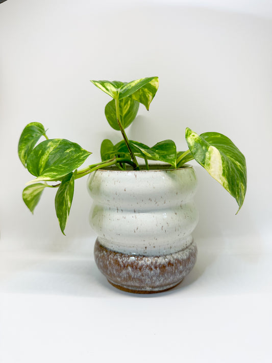 Ceramic Bubble Planter in Opal Dip