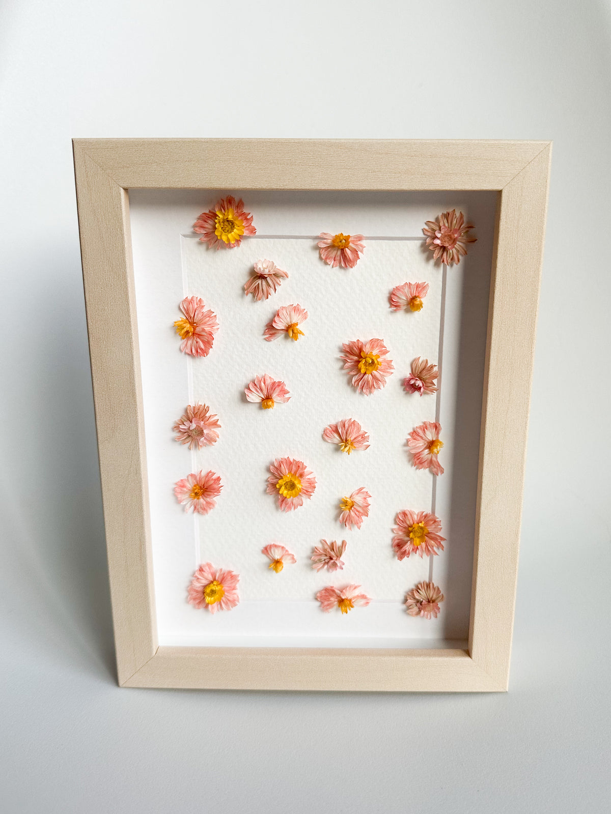 Peachy Pink Embroidery Style Dried Flower Frame