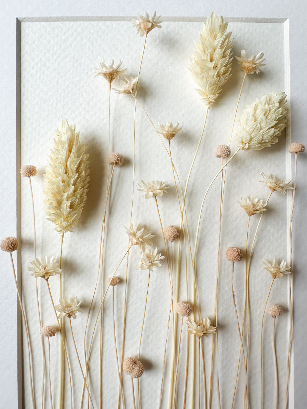 Ivory/Natural Dried Flower Frame