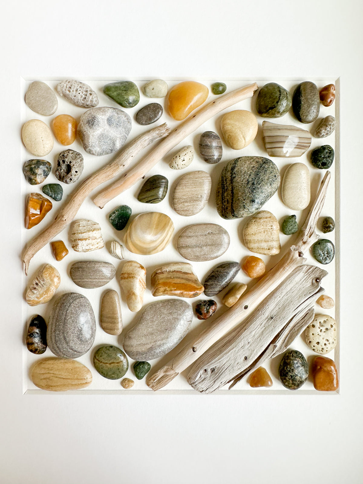 Banded Driftwood