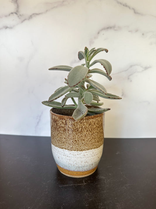 Ceramic Planter in Earth Tones