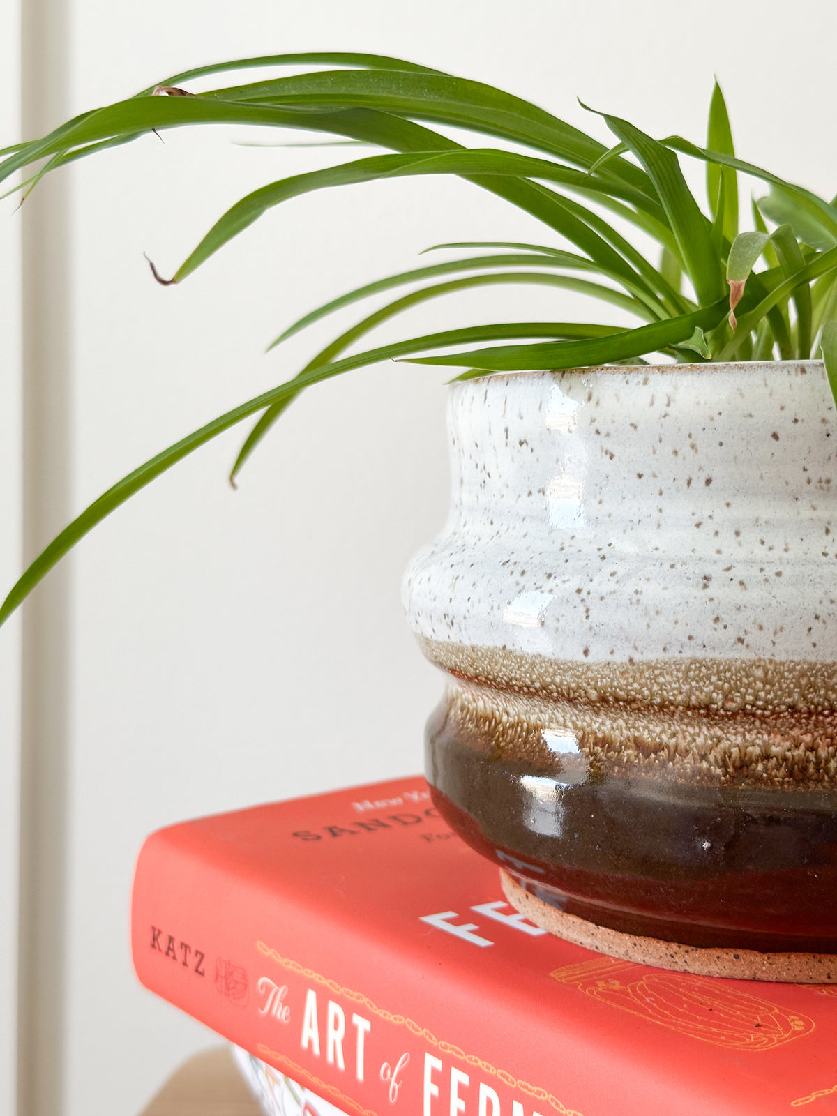 Ceramic Bubble Planter in Walnut Dip