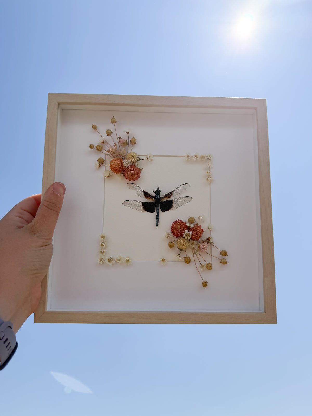 Dragonfly and Muted Coral Gonphrena Frame