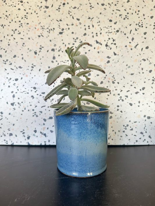 Ceramic Planter in Sky Blue