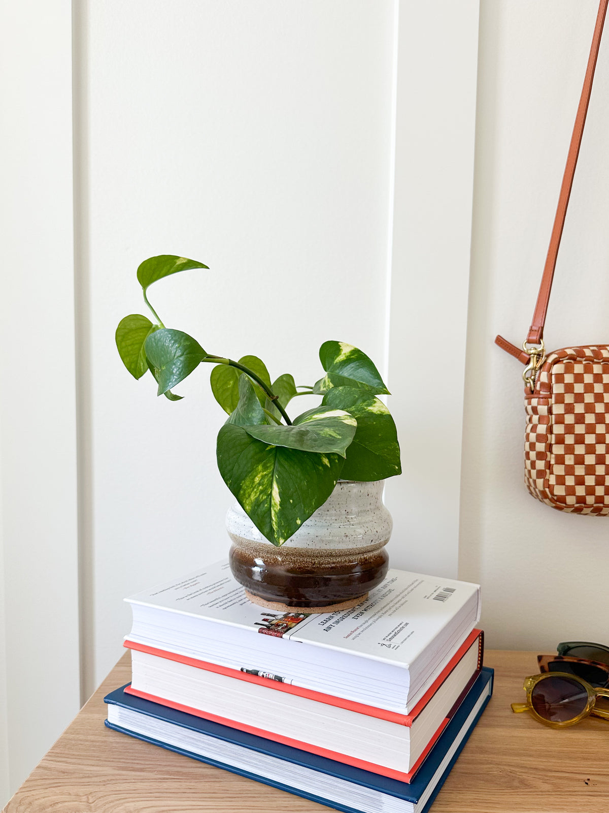 Ceramic Bubble Planter in Walnut Dip