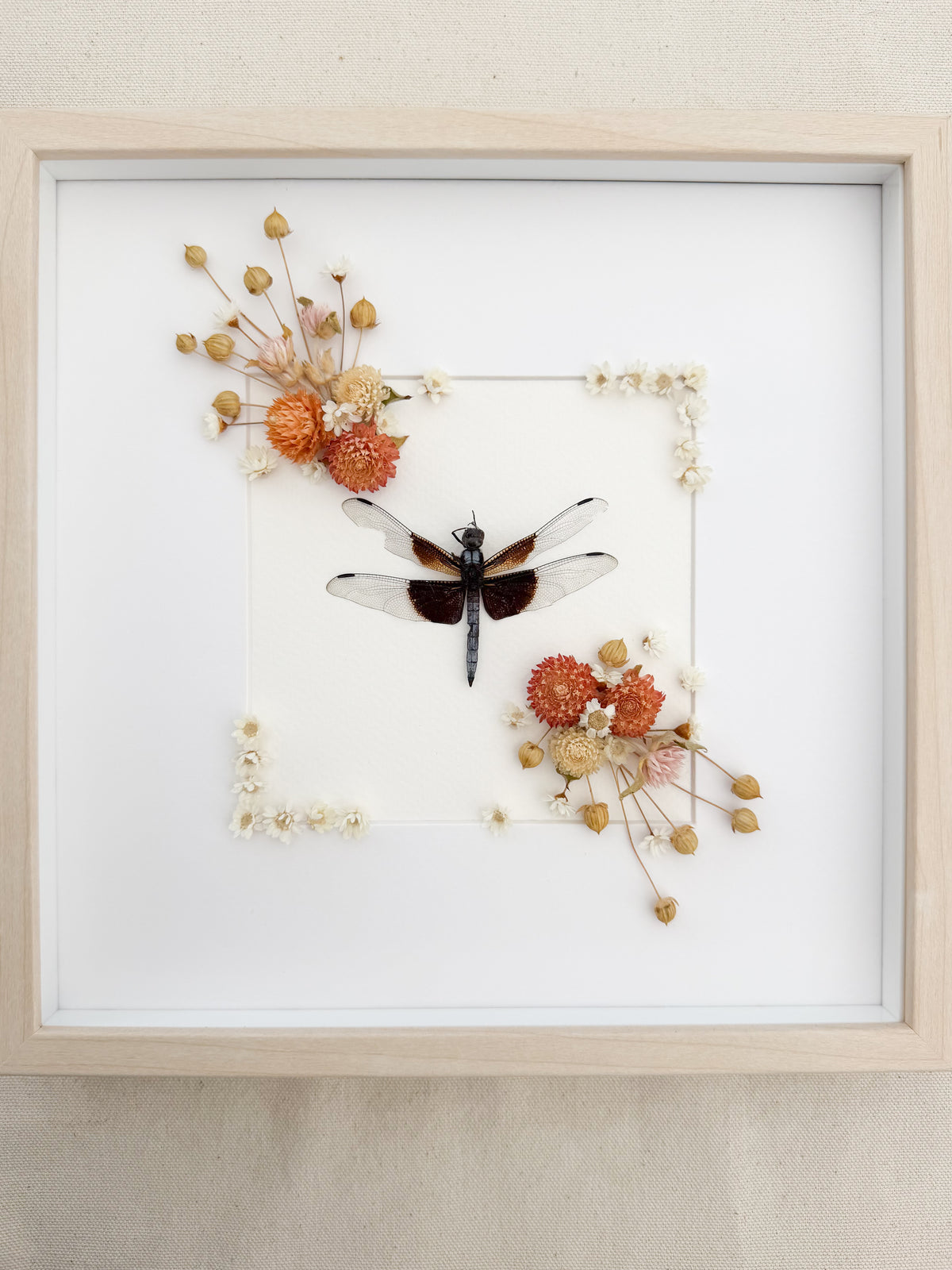 Dragonfly and Muted Coral Gonphrena Frame