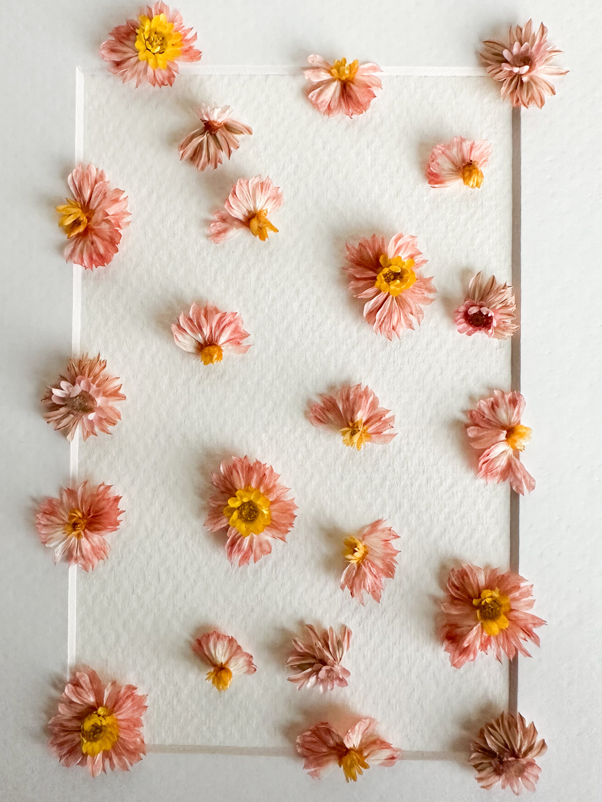 Peachy Pink Embroidery Style Dried Flower Frame