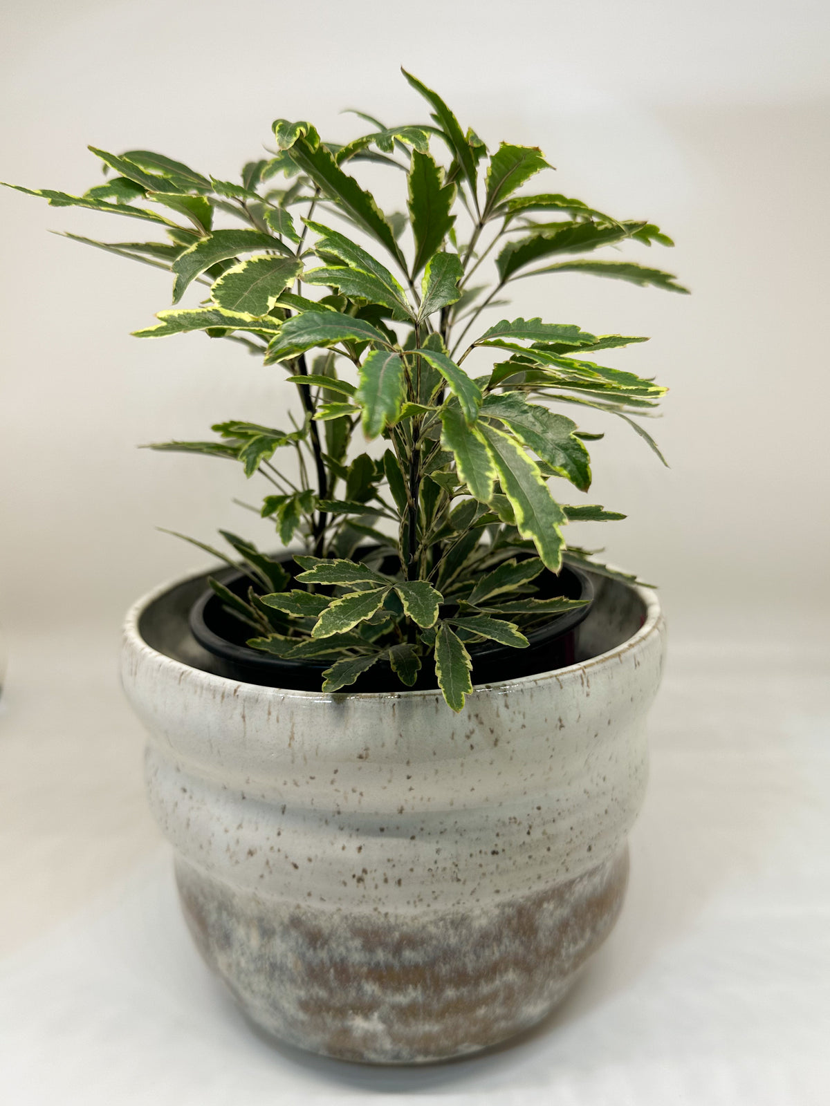 Ceramic Bubble Planter in Opal Dip