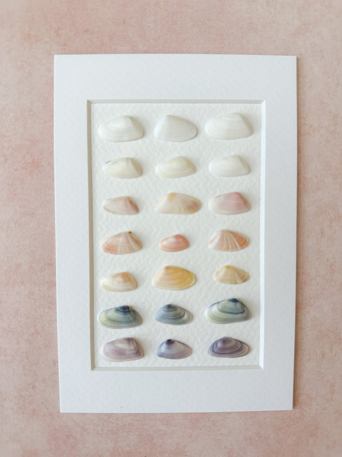 Gradient Coquina Seashell Frame