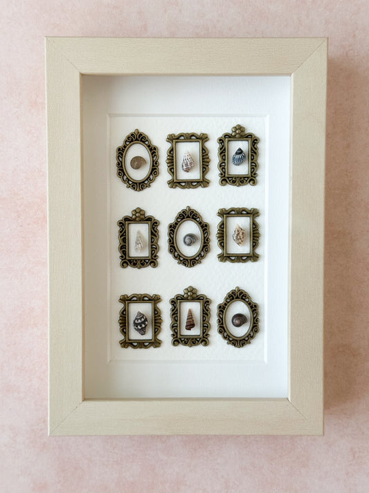 Mini Seashells in Mini Frames