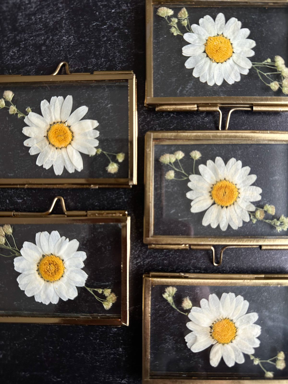Pressed Flower Glass Ornament in Daisy