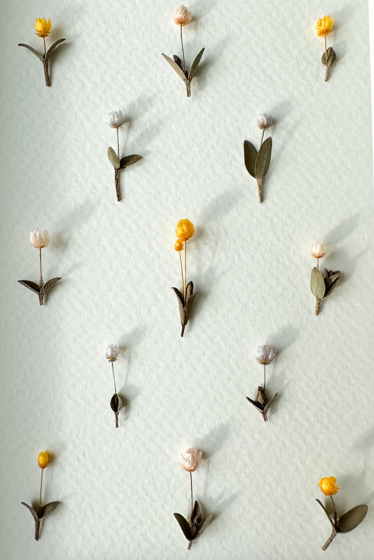 Quilt Inspired Mini Flowers 5x7 Design