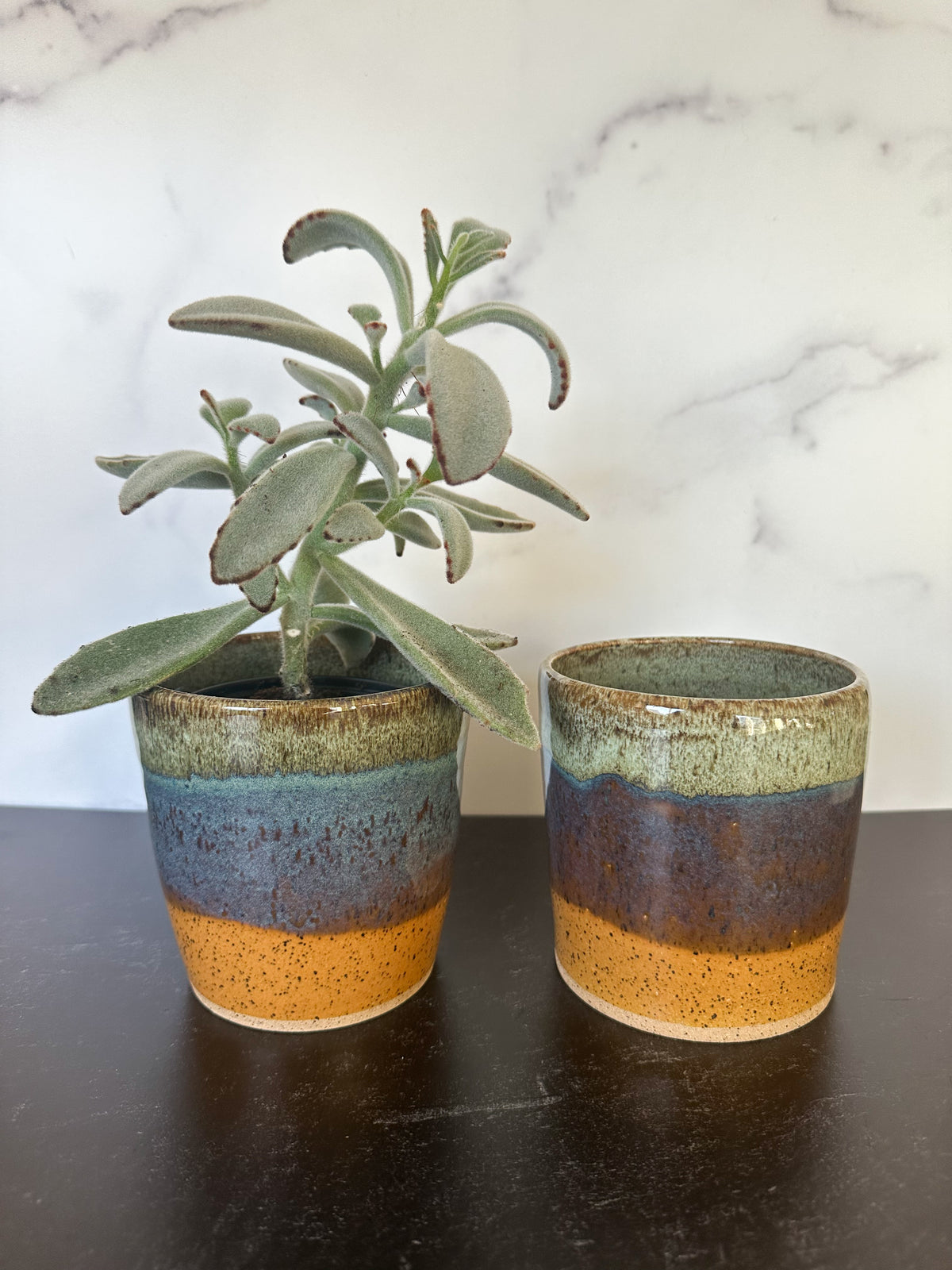 Ceramic Planters in Reptile