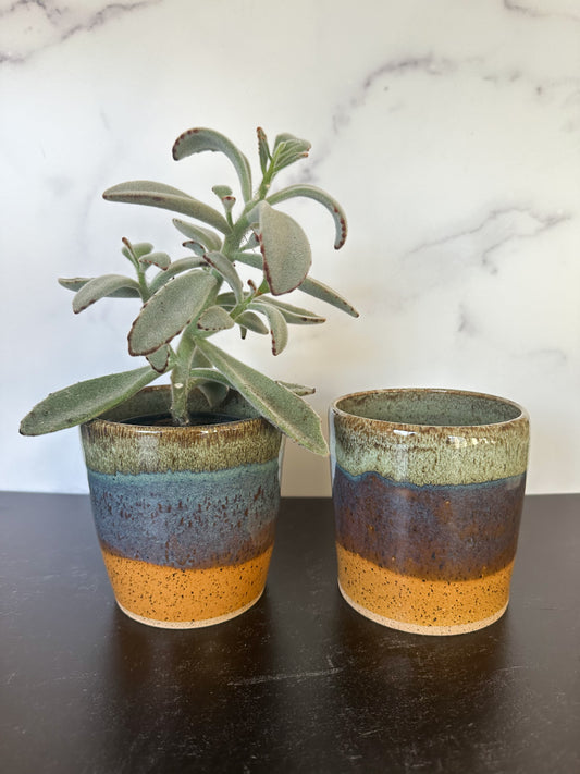 Ceramic Planters in Reptile